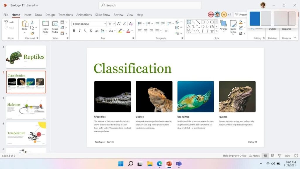windows 11 se