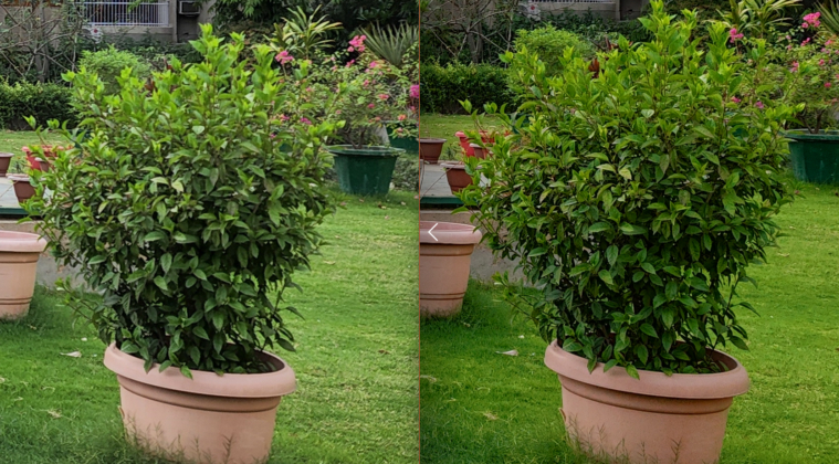 xiaomi 12 pro vs samsung s21 ultra camera
