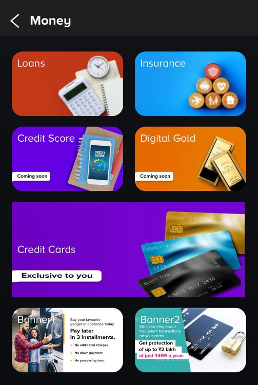 Tata Pay Money