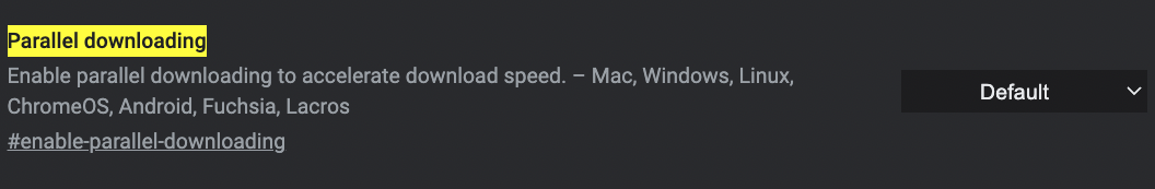 Parallel downloading Chrome flag
