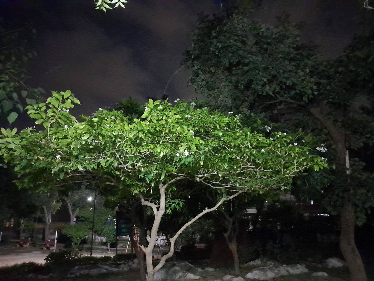 Samsung Galaxy F13 Review Pros and cons, Verdict 91Mobiles