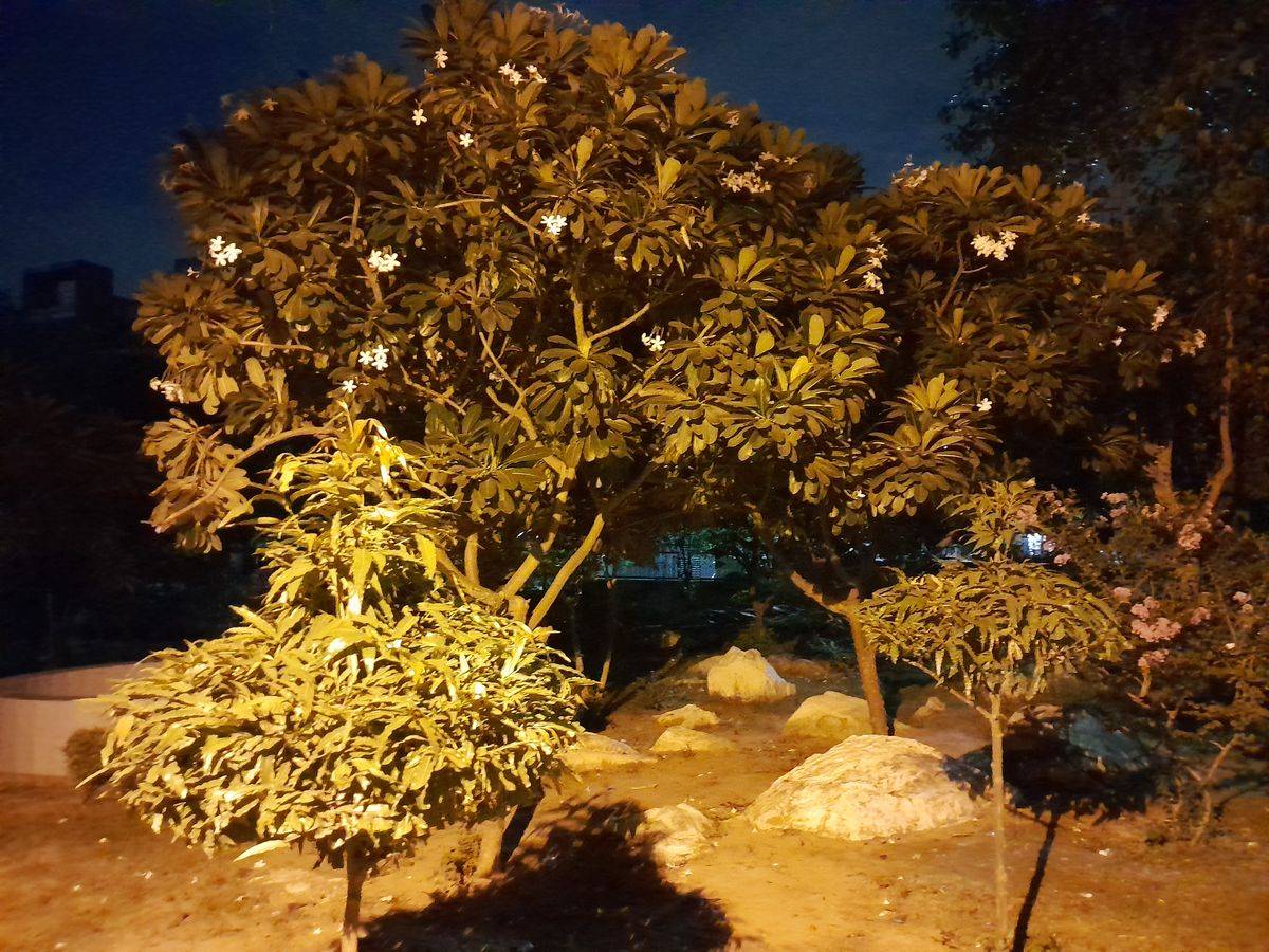 Samsung Galaxy F13 Review Pros and cons, Verdict 91Mobiles