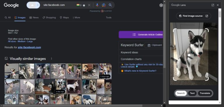 Facebook ID search: How to search Facebook ID by name, number, date of