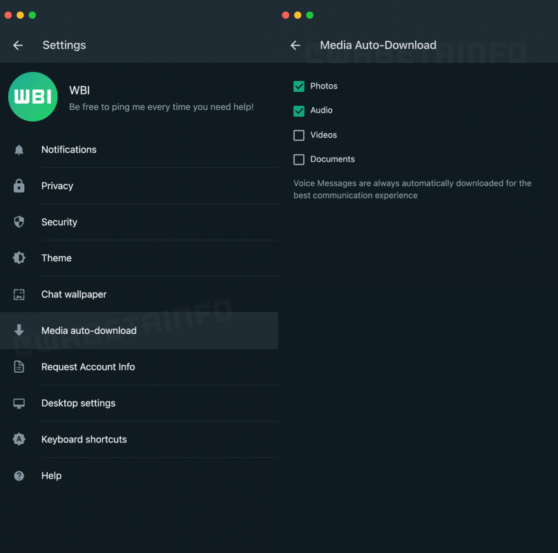 WhatsApp media auto-download