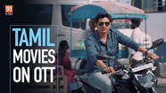 Tamil Movies 2024 Ott Fred Pamela