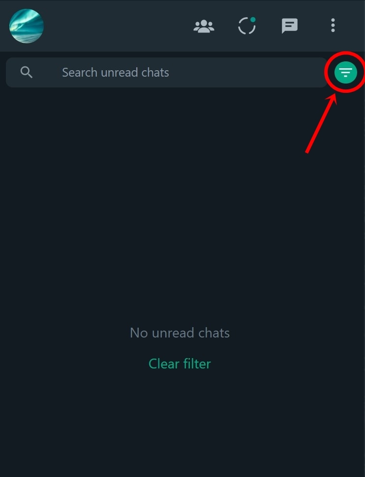WhatsApp chat filters
