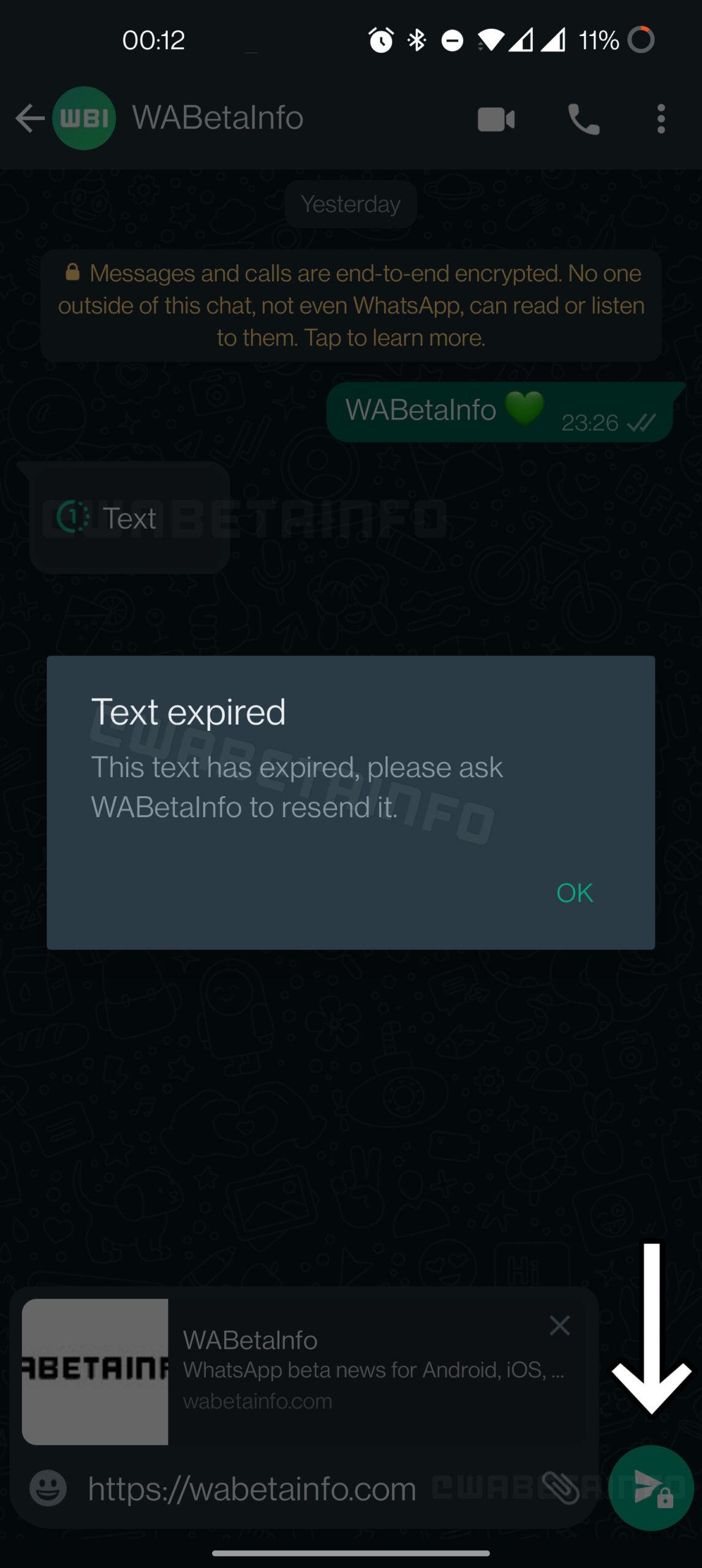 WhatsApp-view-once-text