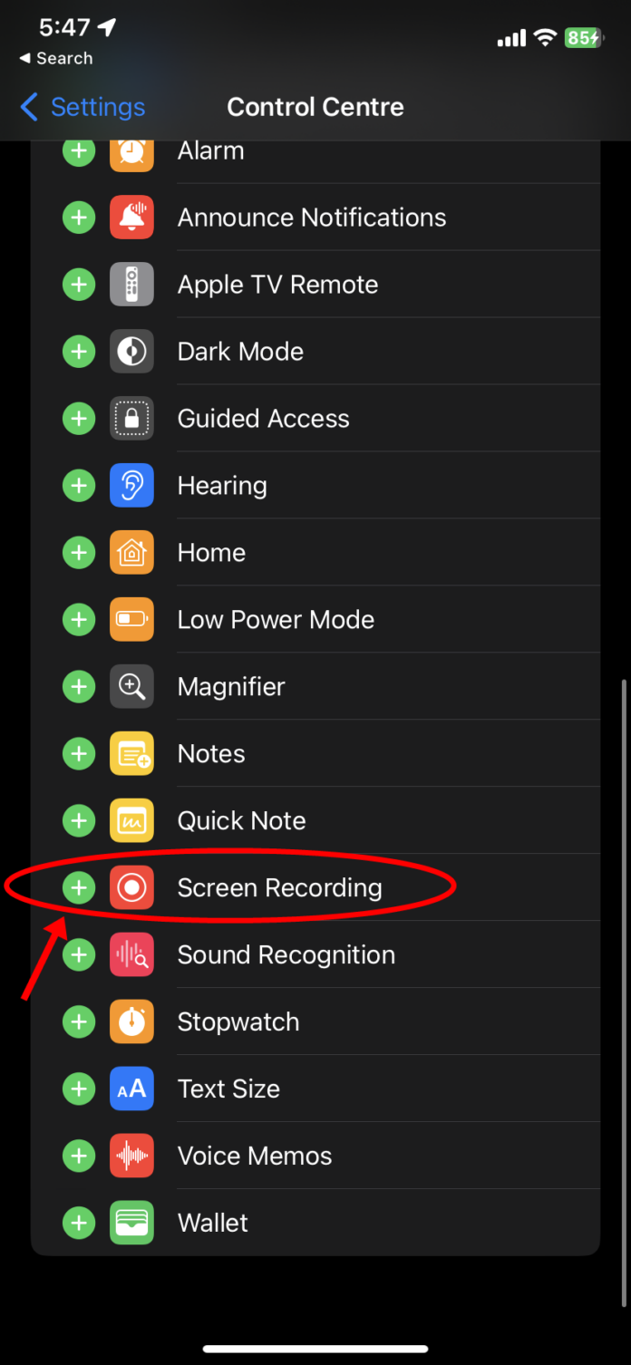How to Screen Record on iPhone in 2024 (updated)