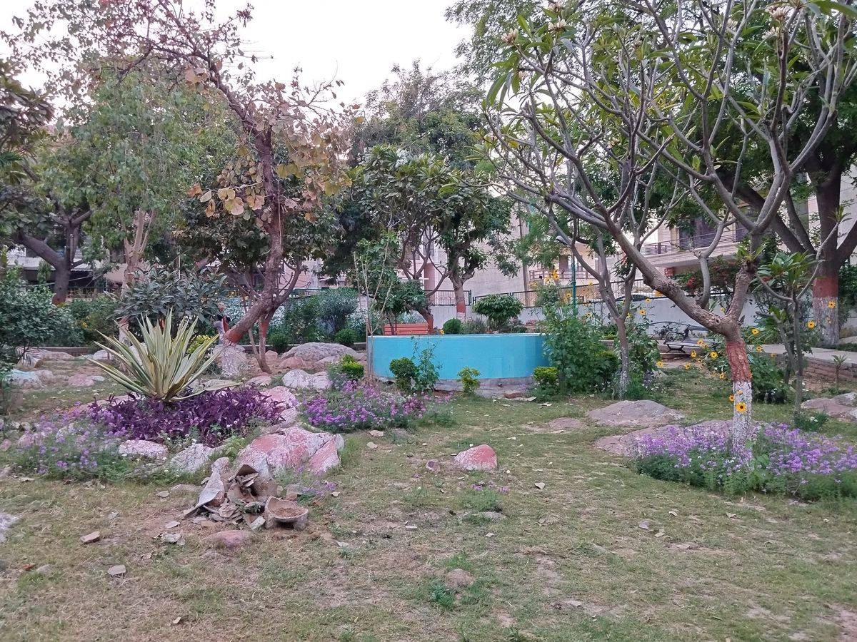 POCO X5 review a VFM purchase?