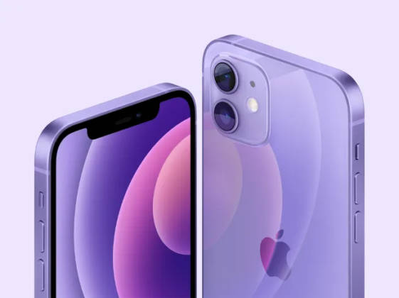 iPhone 12, 12 mini Purple colour