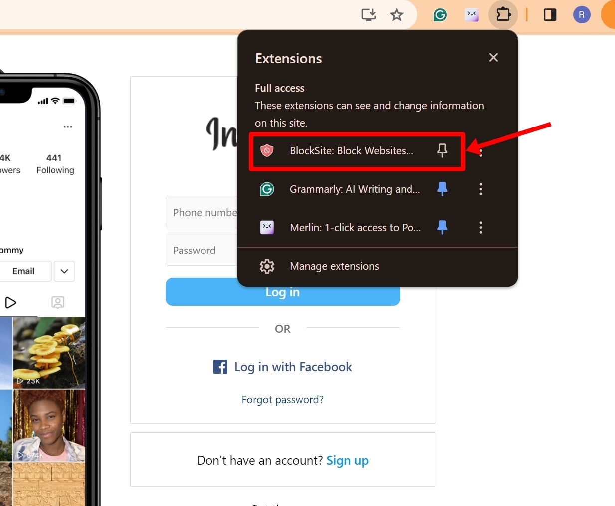 Block website on Chrome using extension