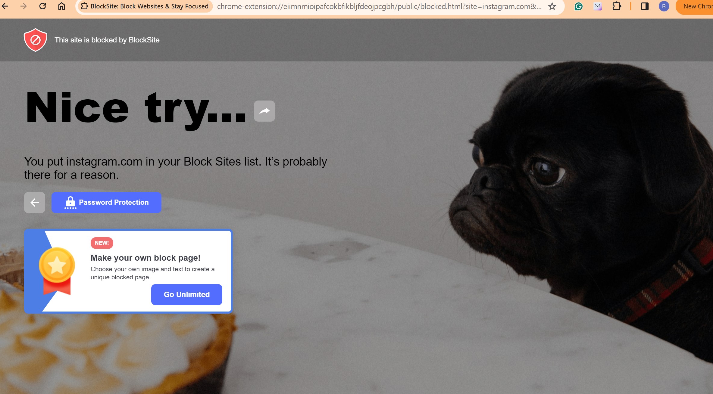 Block website on Chrome using extension
