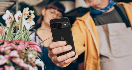 Google Pixel 9, Pixel 9 Pro XL camera results revealed by DXOMARK: heres how the phones performed