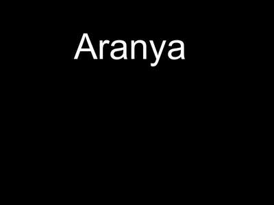 Aranya - Backdrop