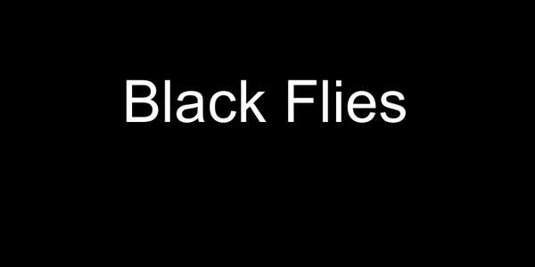 Black Flies - Backdrops