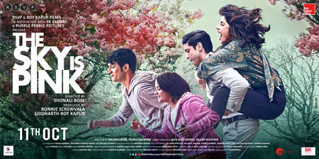 Watch The Sky Is Pink Online Full Movie Metareel Com