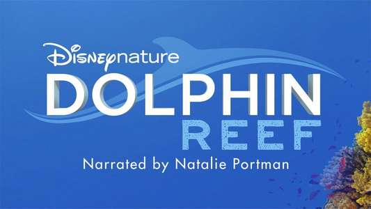 Dolphin Reef - Backdrops