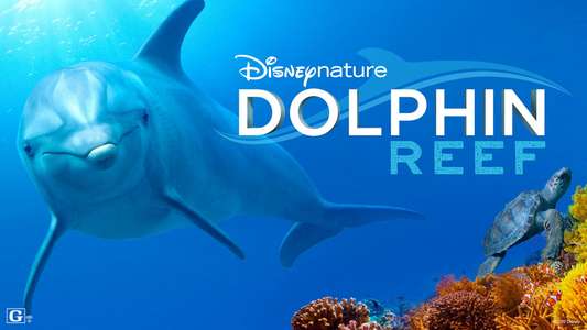 Dolphin Reef - Backdrops