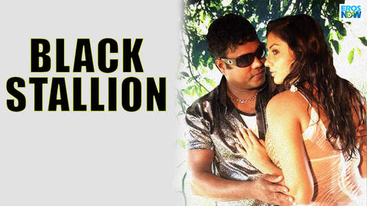 Black Stallion - Backdrop