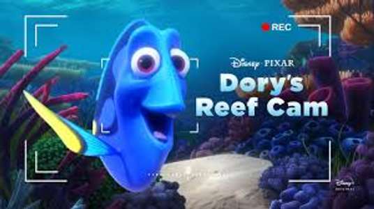 Dory's Reef Cam - Backdrops