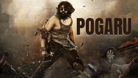 Pogaru - Backdrops