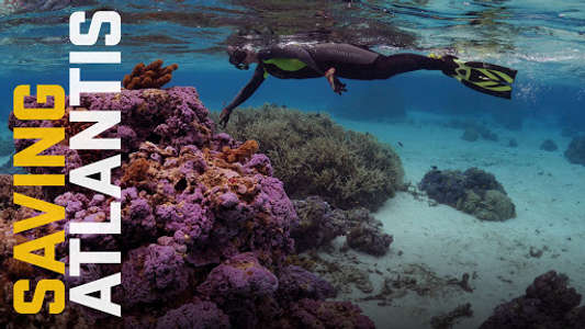 Saving Atlantis - Backdrop