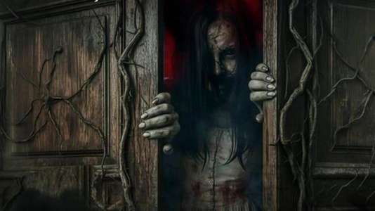 The Wardrobe - Backdrops