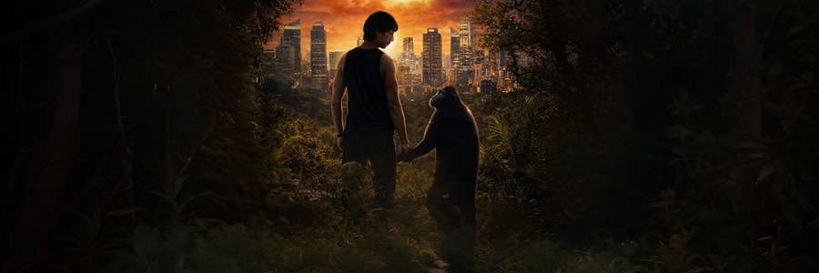 Lakadbaggha 2: The Monkey Business - Backdrops
