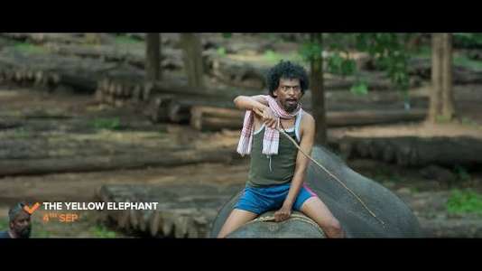The Yellow Elephant - Backdrops