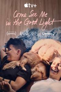 Come See Me in the Good Light - Posters