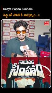 Gaaya Padda Simham - Posters