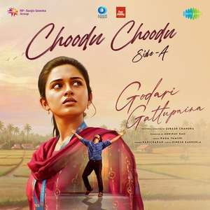 Godari Gattupaina - Posters