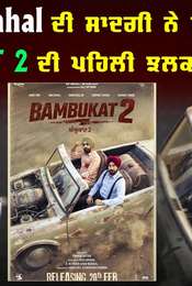 Bambukat 2