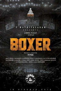 Boxer - Posters