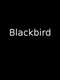 Blackbird 2019