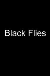 Black Flies - Posters