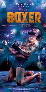 Boxer - Posters