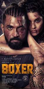 Boxer - Posters