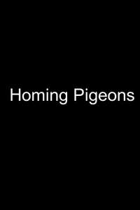 Homing Pigeons - Posters