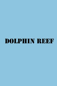 Dolphin Reef - Posters