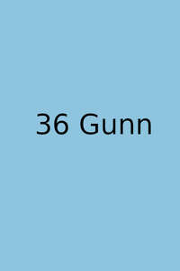36 Gunn  - Poster