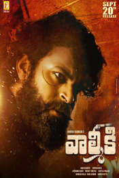 Valmiki