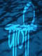 Paani