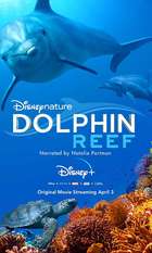 Dolphin Reef