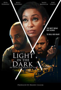 Light in the Dark - Poster
