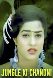 Jungle Ki Chandni
