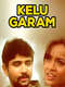 Kelu Garam