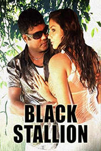 Black Stallion - Poster