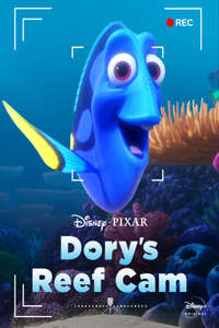 Dory's Reef Cam - Posters