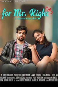 Looking for Mr. Right - Poster